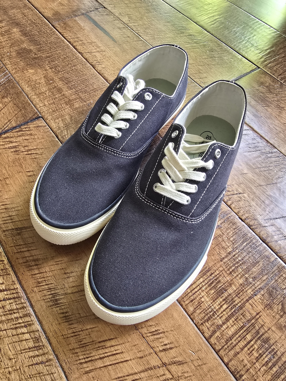 Sperry Men's Low-Top Canvas Sneakers in Dark Gray with Cream Laces